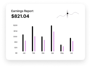 Earning report-Digital Marketing Agency